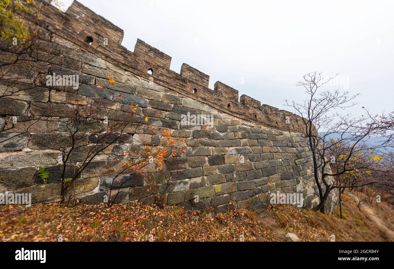 La Grande Muraille de Chine, le majestueux grand monument de la Chine en automne entouré d'arbres colorés . La Grande Muraille, symbole de la Chine. Une basio Banque D'Images