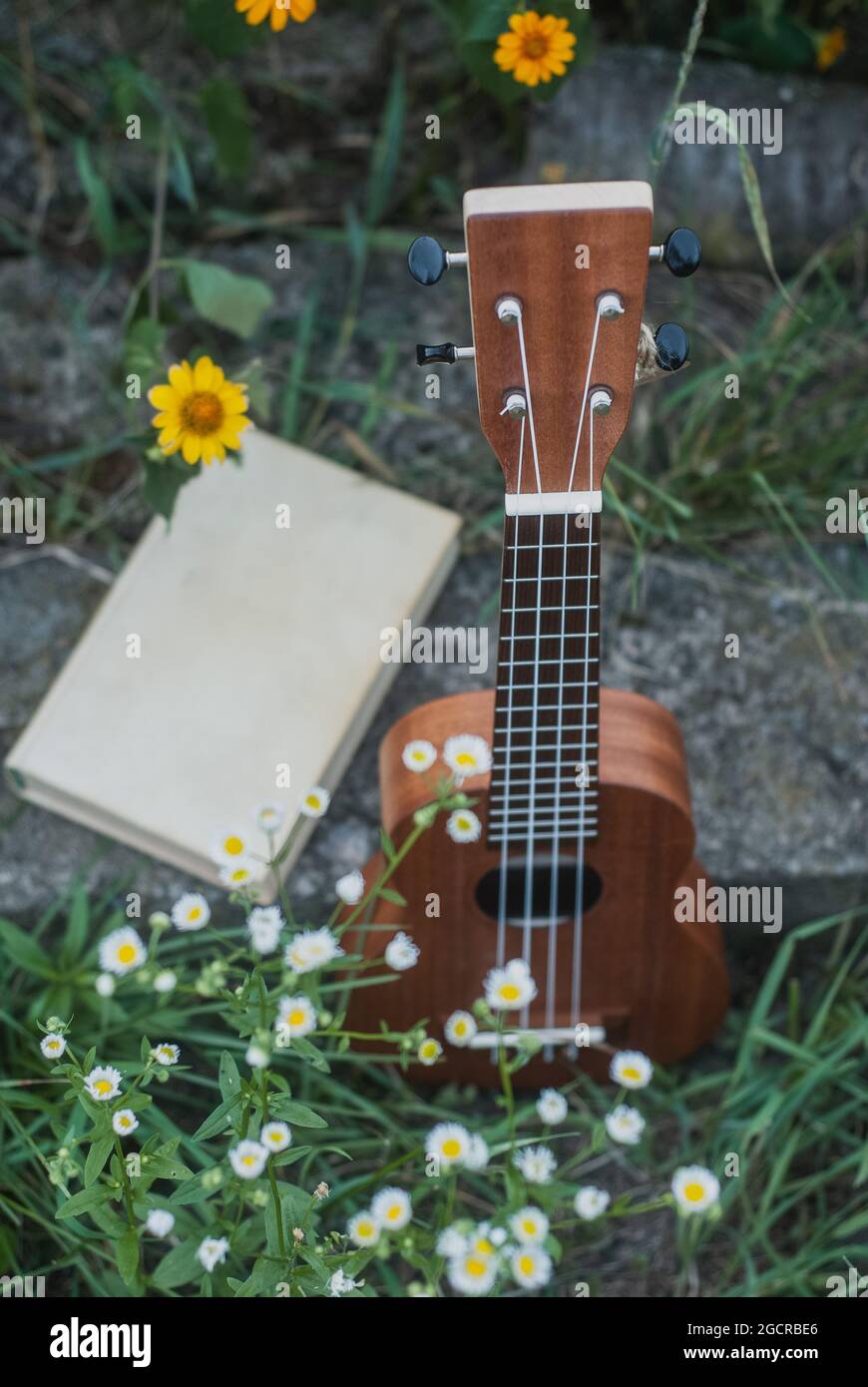 un ukulele et un livre parmi les fleurs sauvages Banque D'Images