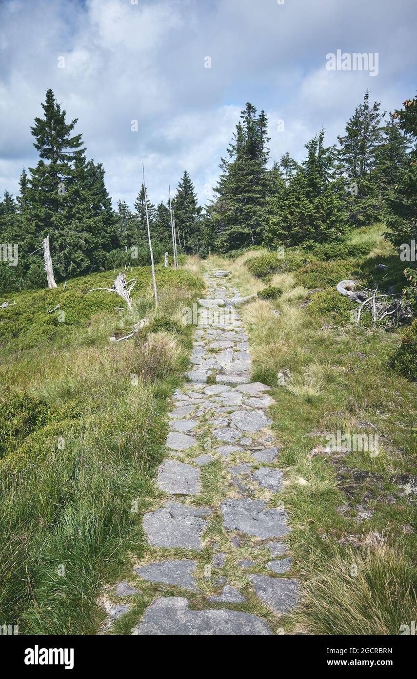 Sentier en pierre à Karkonosze (montagnes géantes), République tchèque. Banque D'Images