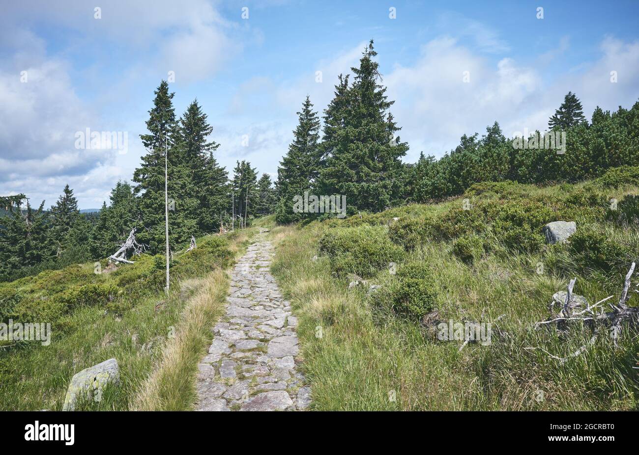 Sentier en pierre à Karkonosze (montagnes géantes), République tchèque. Banque D'Images