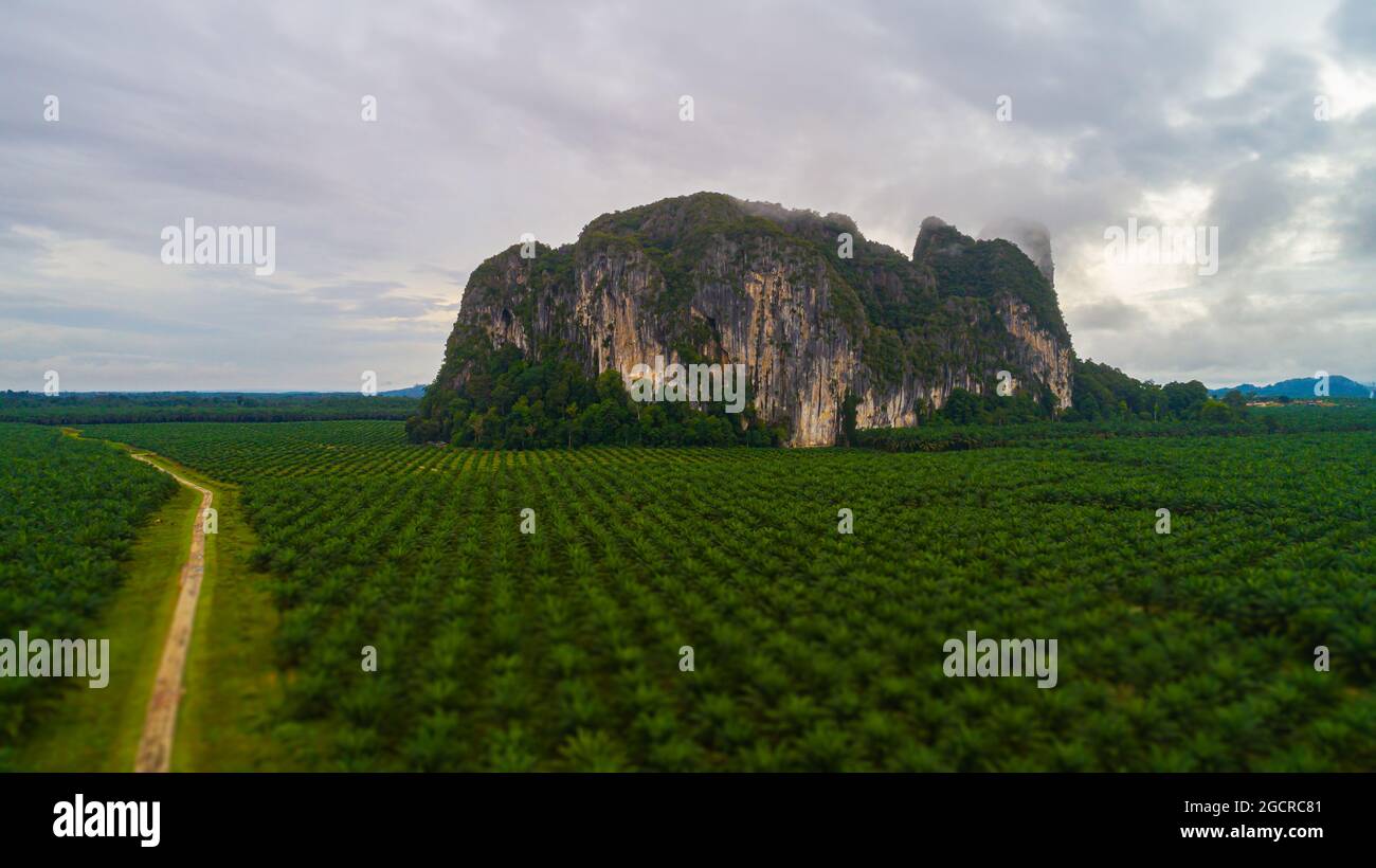 Vue aérienne sur le paysage au rocher de Gua Charas, Pahang, Malaisie, près de la côte est de la Malaisie et de la ville de Kuantan. Le Mala Banque D'Images