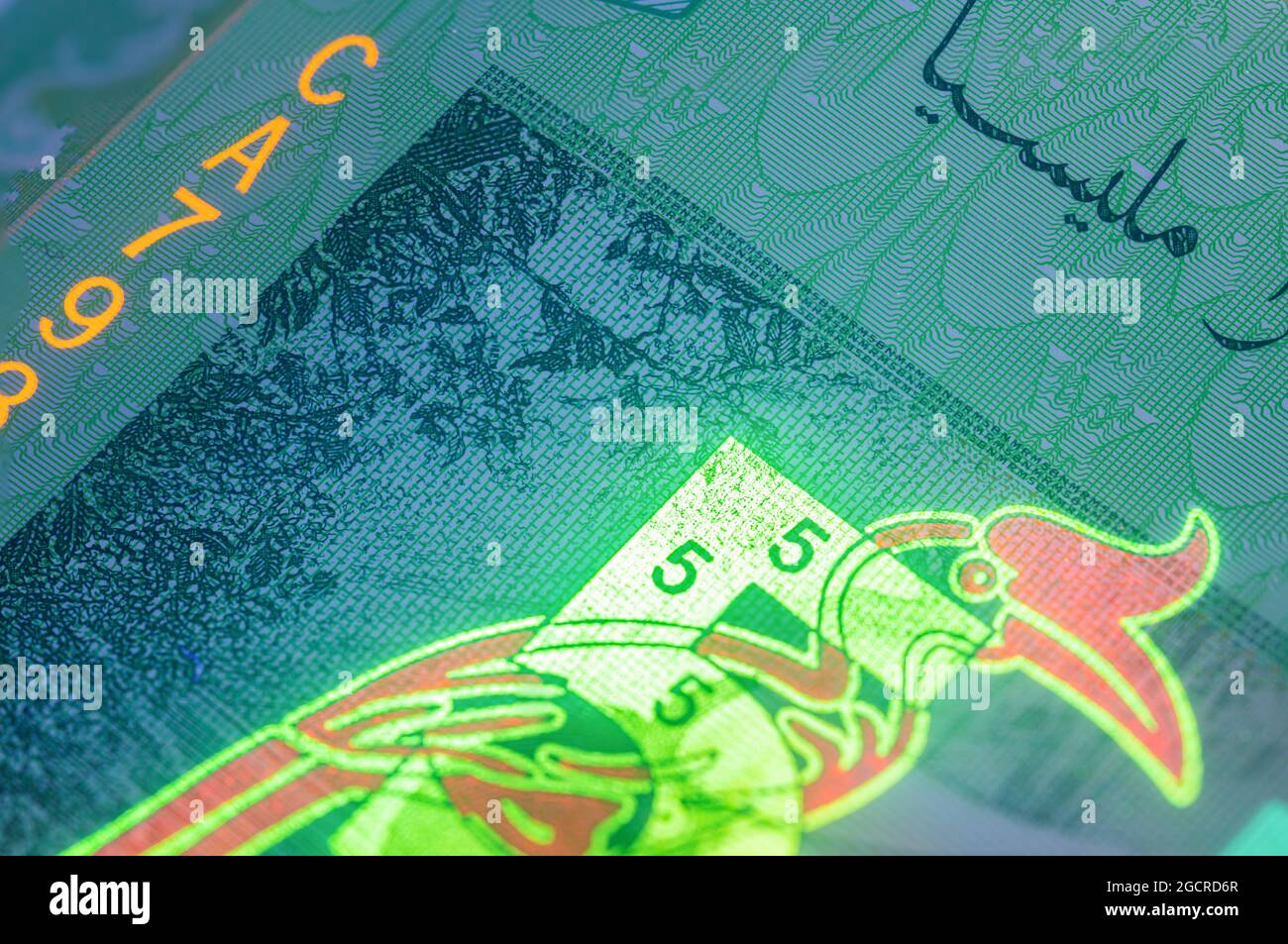 Macro photographie de 5 ringgit malaisien avec lumière de fluor. Gros plan extrême de RM5 Malaisie. Capture nette de l'oiseau Rhinoceros Hornbill sur la banque Banque D'Images