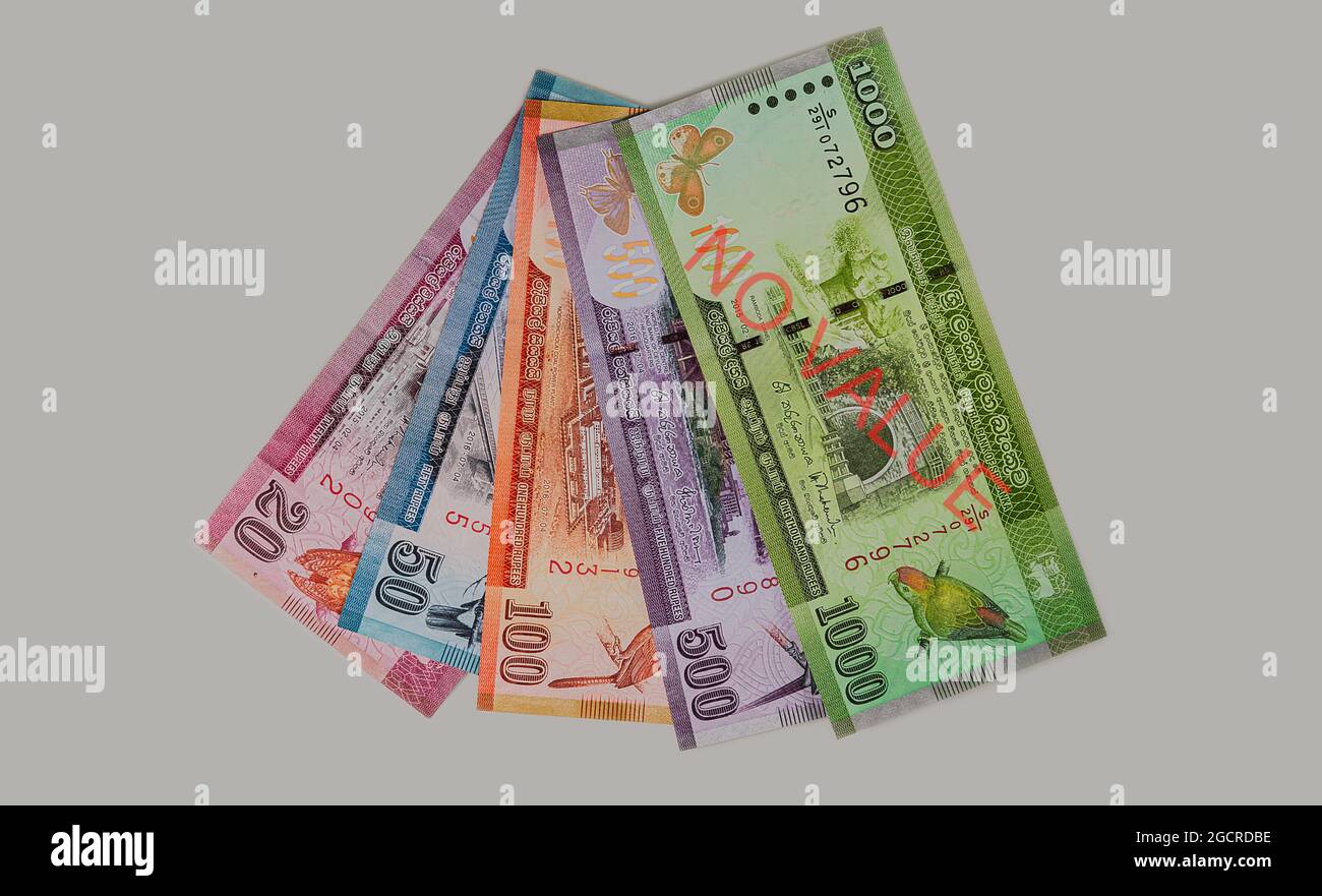 Fan de billets de spécimen sri lanka. Sri Lanka roupies sur fond blanc gris. Proche de la monnaie papier du Sri Lanka. 1, 5, 10, 20 et 100 roupies Banque D'Images