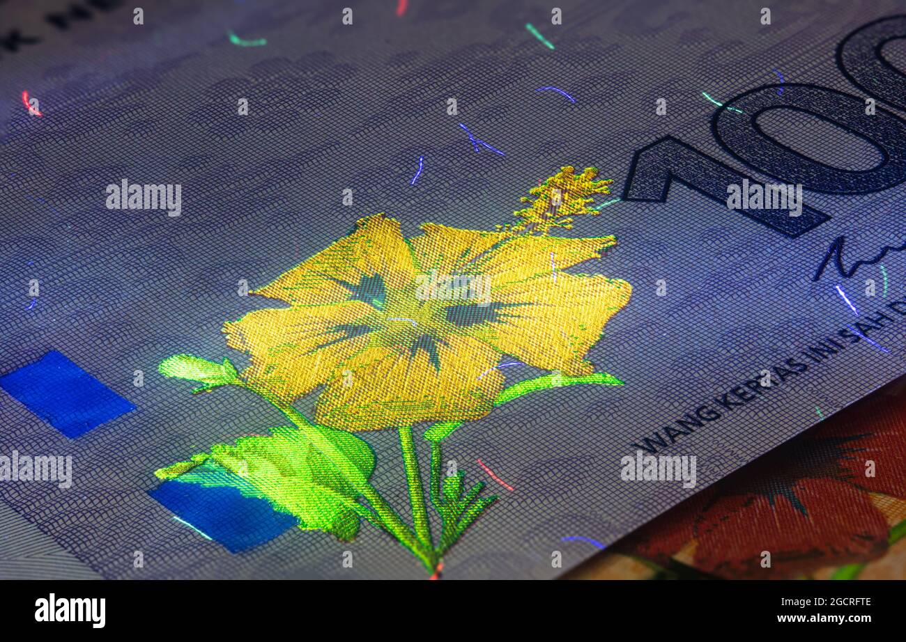 Macro photographie de 100 ringgit malaisien avec lumière de fluor. Gros plan extrême de RM100 Malaisie. Capture nette de l'hibiscus sur le billet de banque. Le RE Banque D'Images