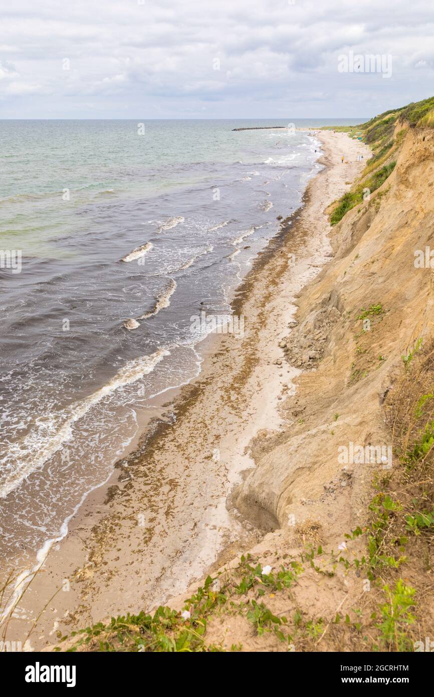 Plage à Ahrenshoop sur la côte allemande de la mer Baltique, vue du sommet de la falaise Banque D'Images