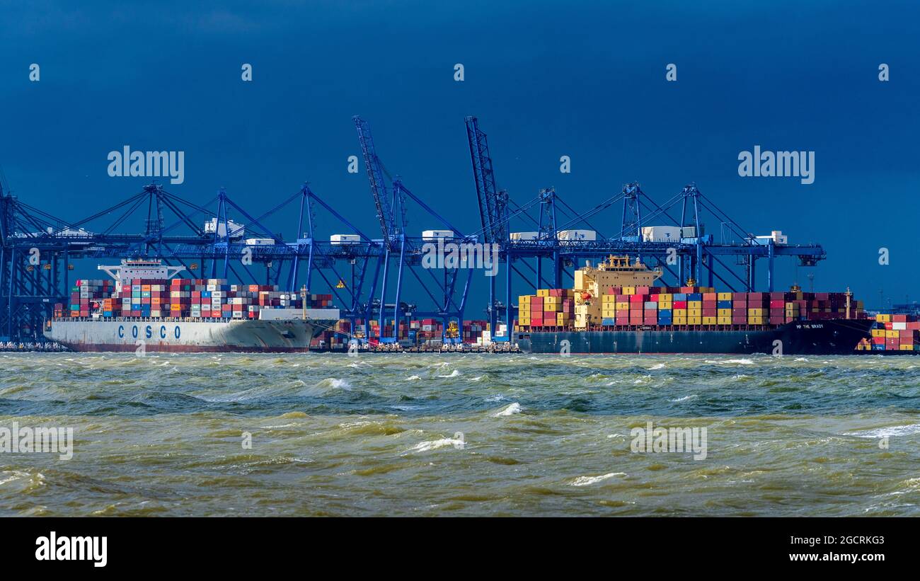 Les chaînes d'approvisionnement mondiales dans les mers de tempête.Conteneurs déchargés du MP les navires Brady et COSCO Vietnam au port de Felixstowe.Chaîne d'approvisionnement mondiale Banque D'Images