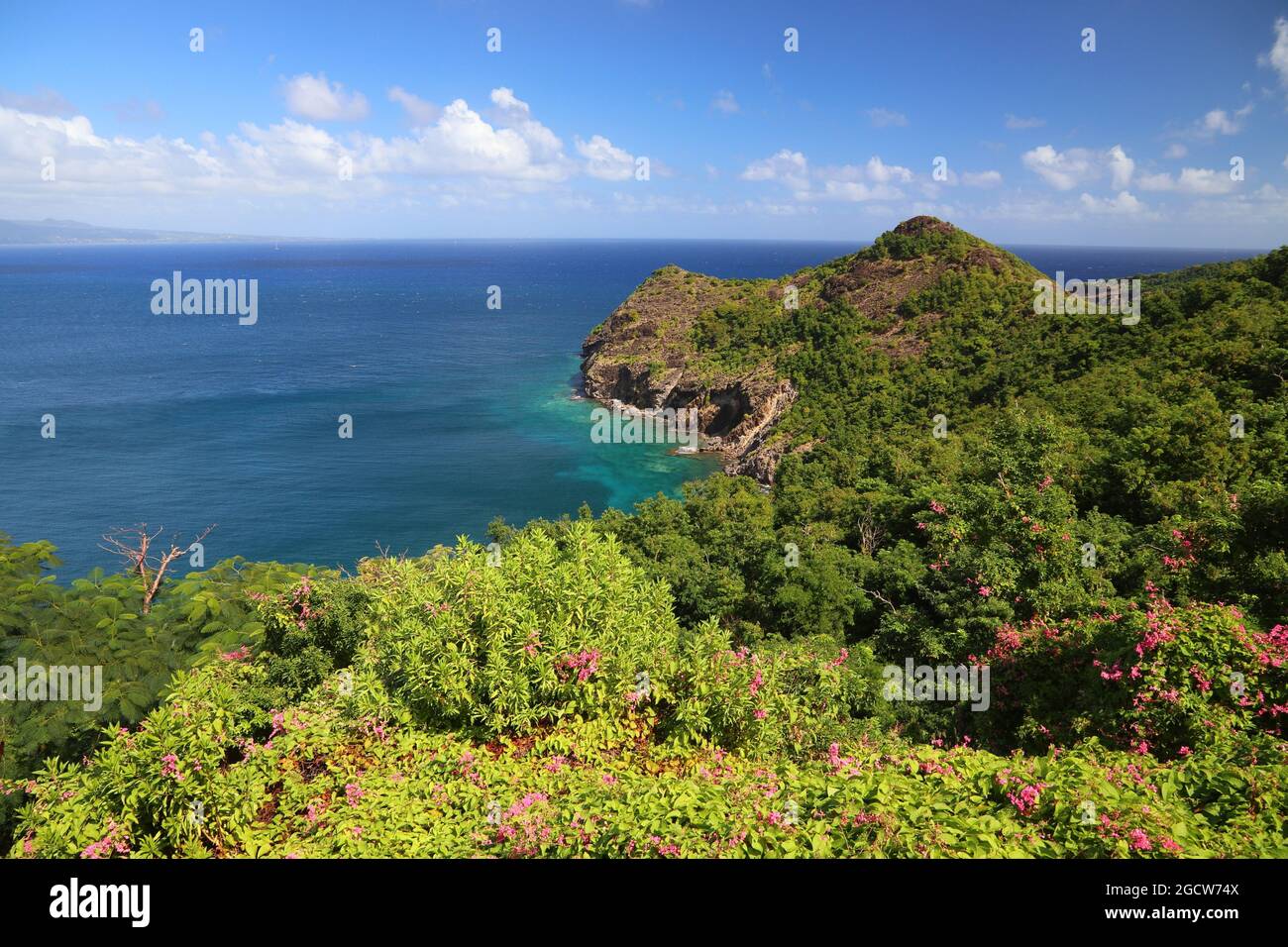 Guadeloupe - Iles des Saintes. Terre de Haut île magnifique paysage. Banque D'Images
