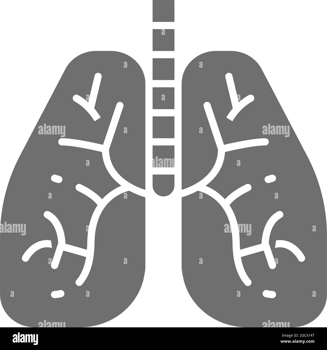 Poumons, organe humain icône grise. Isolé sur fond blanc Illustration de Vecteur