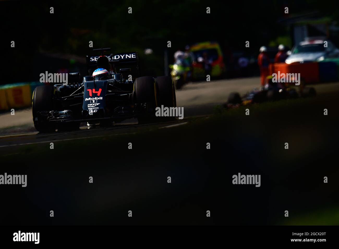 Fernando Alonso (ESP) McLaren MP4-31. Grand Prix de Hongrie, dimanche 24 juillet 2016. Budapest, Hongrie. Banque D'Images