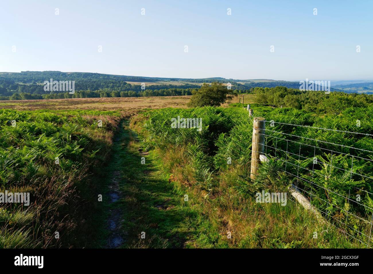 Un sentier large suit une clôture à travers Lawrence Field, un matin d'été dans le Derbyshire Banque D'Images