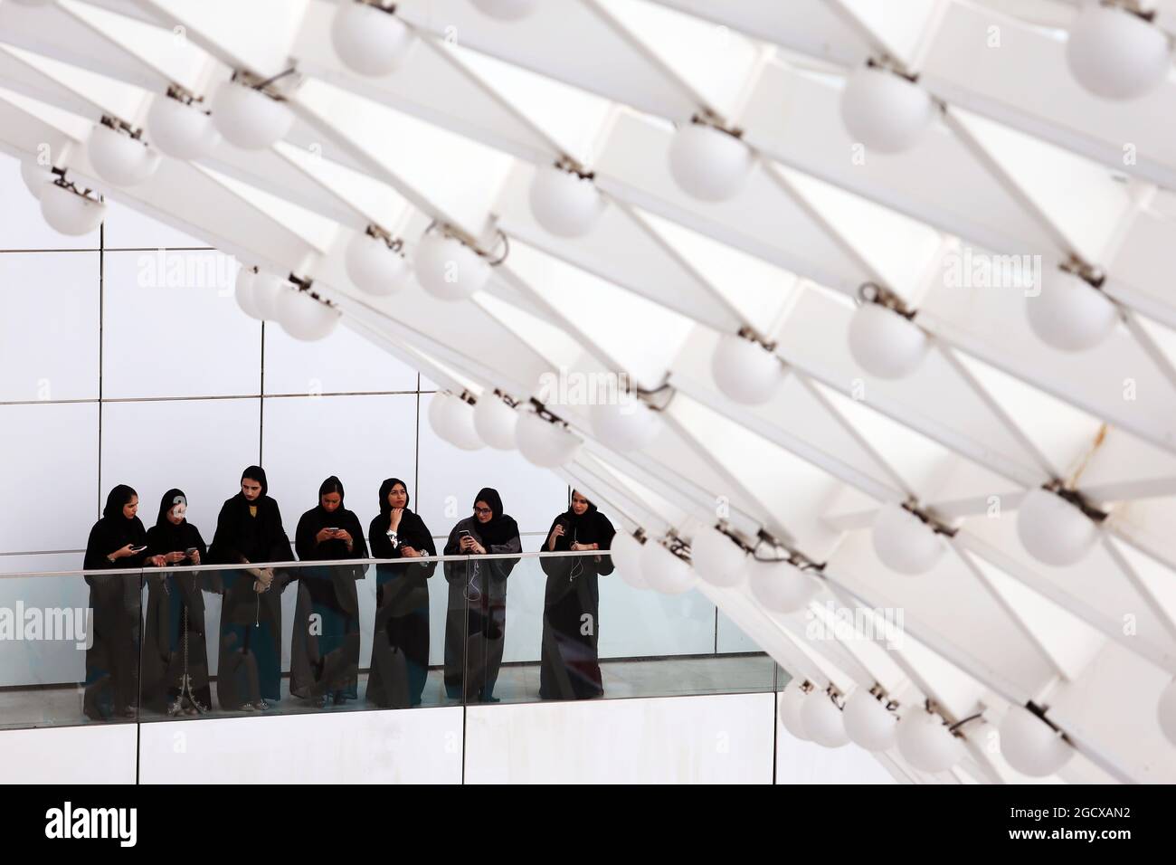 Ventilateurs. Grand Prix d'Abu Dhabi, vendredi 25 novembre 2016. Yas Marina circuit, Abu Dhabi, Émirats Arabes Unis. Banque D'Images