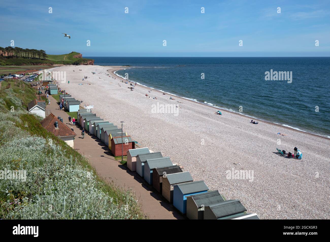 Vue le long de la plage de galets et des huttes de plage, Budleigh Salterton, Jurassic Coast, Devon, Angleterre, Royaume-Uni, Europe Banque D'Images