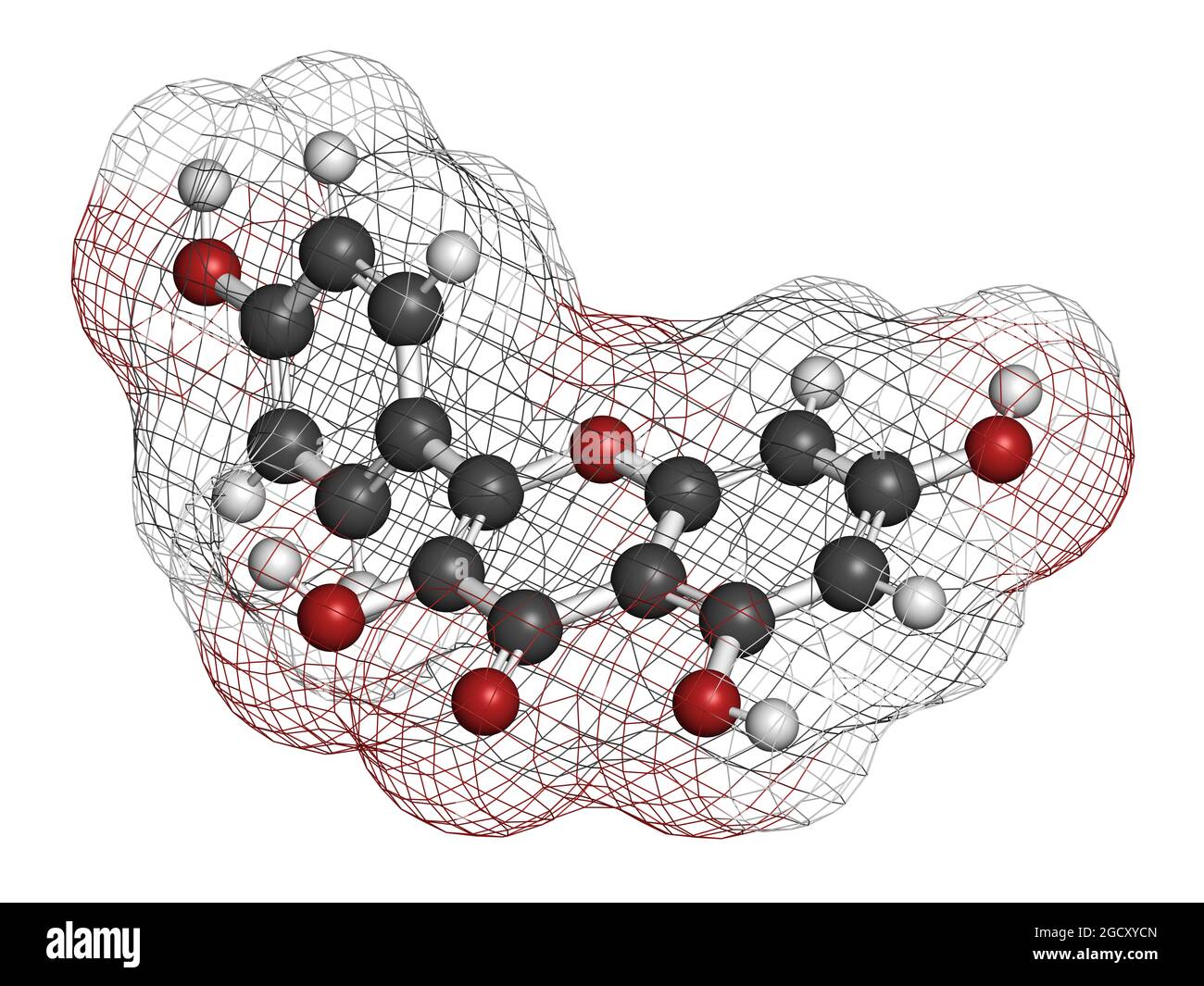 Molécule antioxydante de kaempferol. Rendu 3D. Banque D'Images