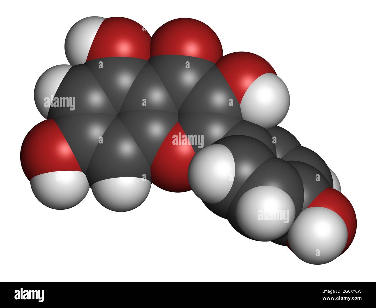 Molécule antioxydante de kaempferol. Rendu 3D. Banque D'Images