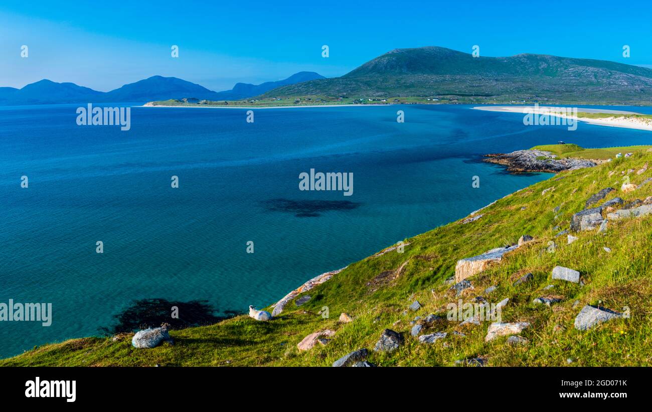 Vue sur la baie de Seilebost en direction de LUSKENTIRE et des collines North Harris, Isle of Harris, Outer Hebrides, Écosse, Royaume-Uni Banque D'Images