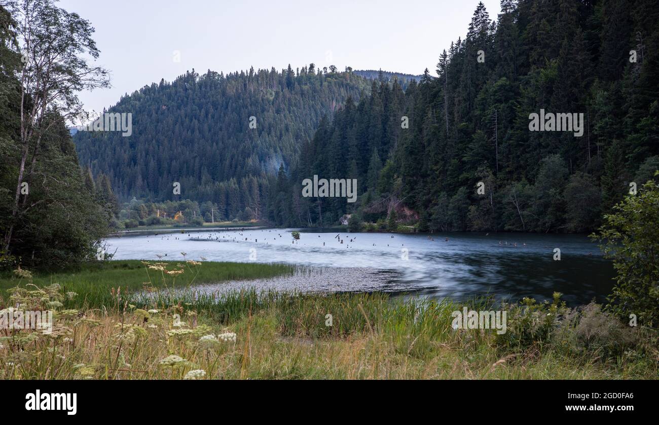 Lacul rosu Banque de photographies et d’images à haute résolution - Alamy