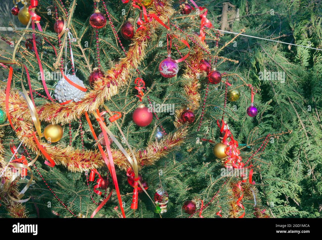 Décoration d'arbre de Noël Banque D'Images