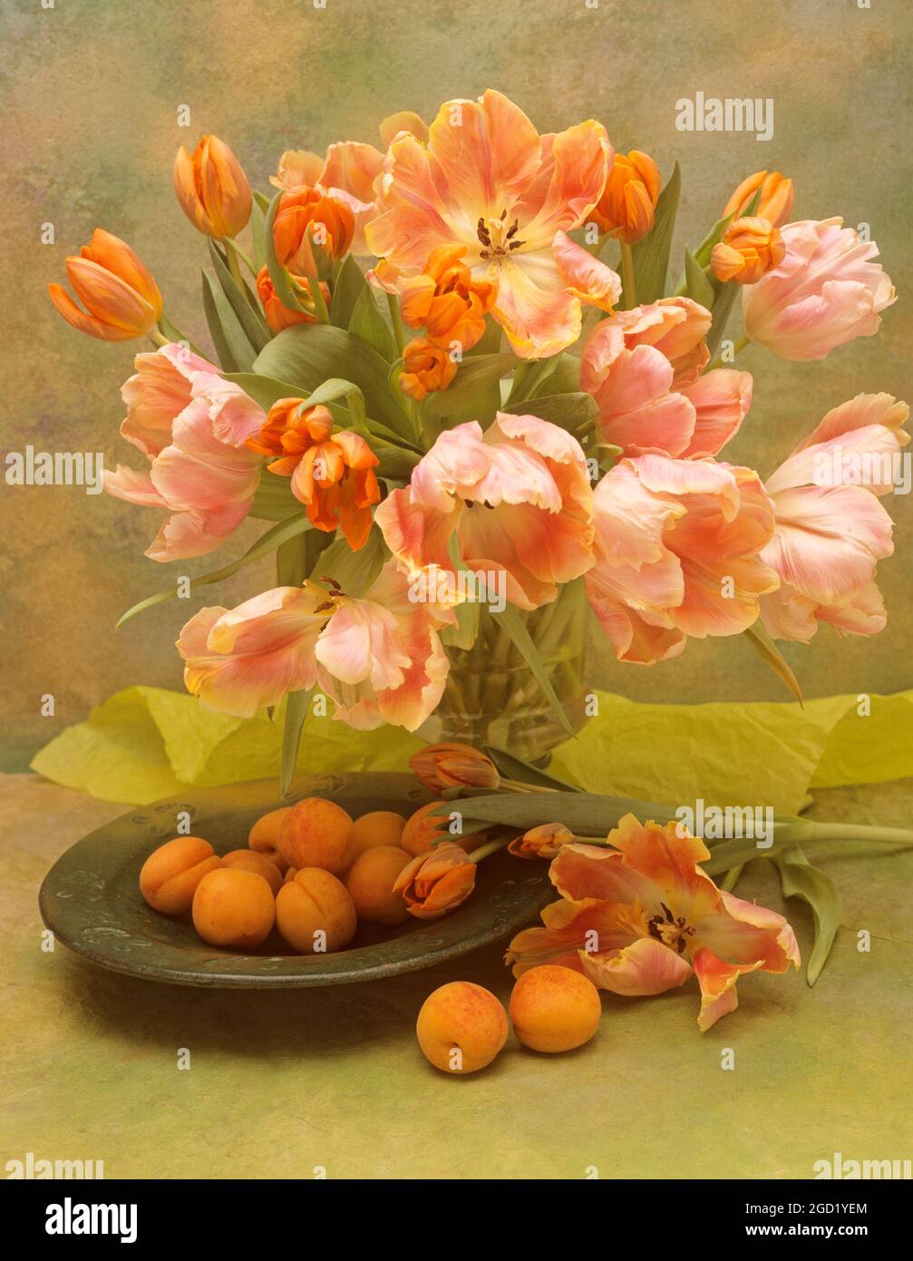 botanique, tulipes en vase d'aglass et abricots sur fond peint, DROITS-SUPPLÉMENTAIRES-AUTORISATION-INFO-NON-DISPONIBLE Banque D'Images