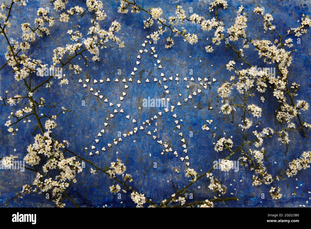 Forme d'étoile faite de petits coeurs d'argent entourés de branches de fleur de noir. Banque D'Images