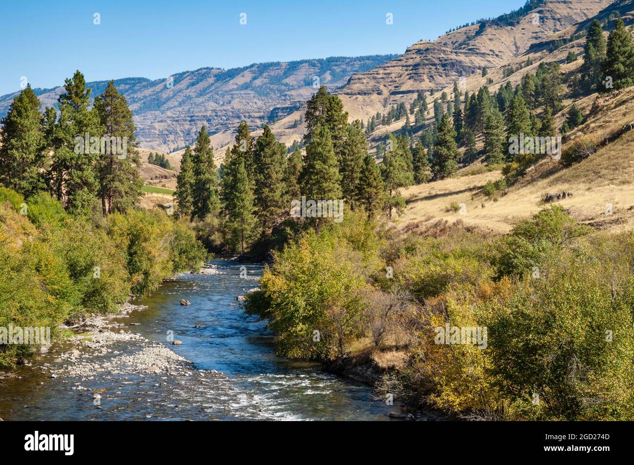 La rivière Wild et Scenic Imnaha, un affluent de la rivière Snake, dans le nord-est de l'Oregon. Banque D'Images