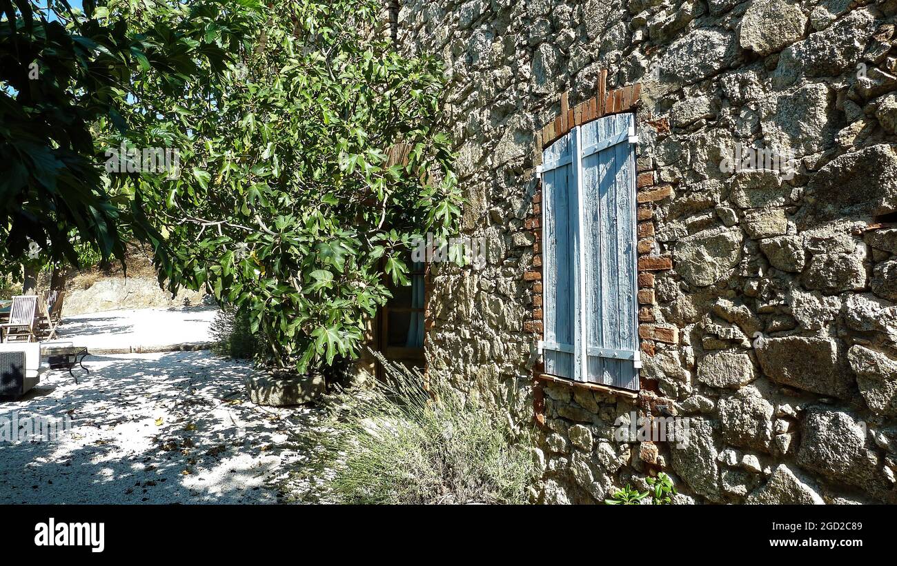Vue sur la maison typique de pierre naturelle style provençale avec volet de fenêtre bleu et arbre vert dans le jardin - France, Provence Banque D'Images