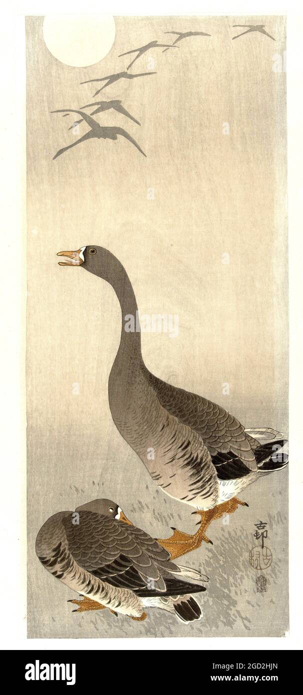 Œuvre d'Ohara Koson intitulée Two Geese Banque D'Images
