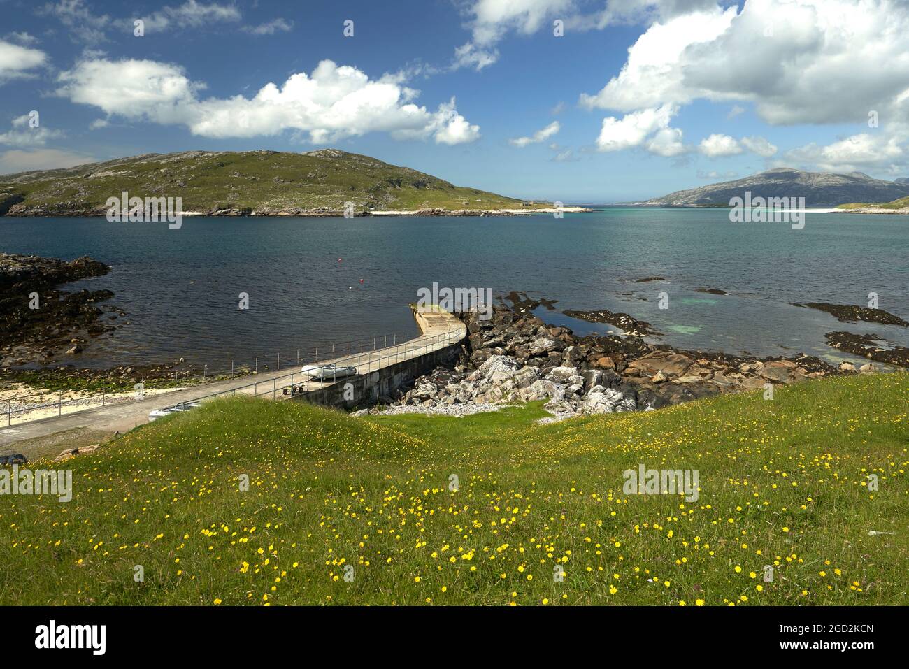 L'île de Scarp, vue de la jetée à Hushinish avec des fleurs couvertes de machir au premier plan. Banque D'Images