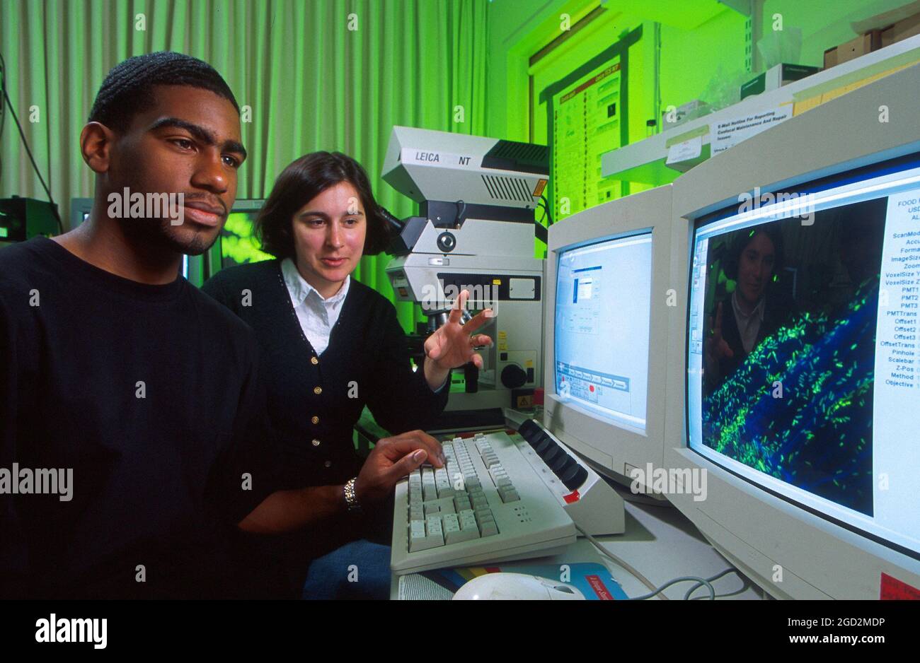 Un microbiologiste et un étudiant de deuxième cycle observent l'affichage d'un microscope confocal utilisé pour examiner une racine de germe de luzerne qui a été contaminée expérimentalement par Salmonella. Les microbes apparaissent en vert ou en bleu sur l'écran de l'ordinateur. CA. 1er août 2000, Banque D'Images