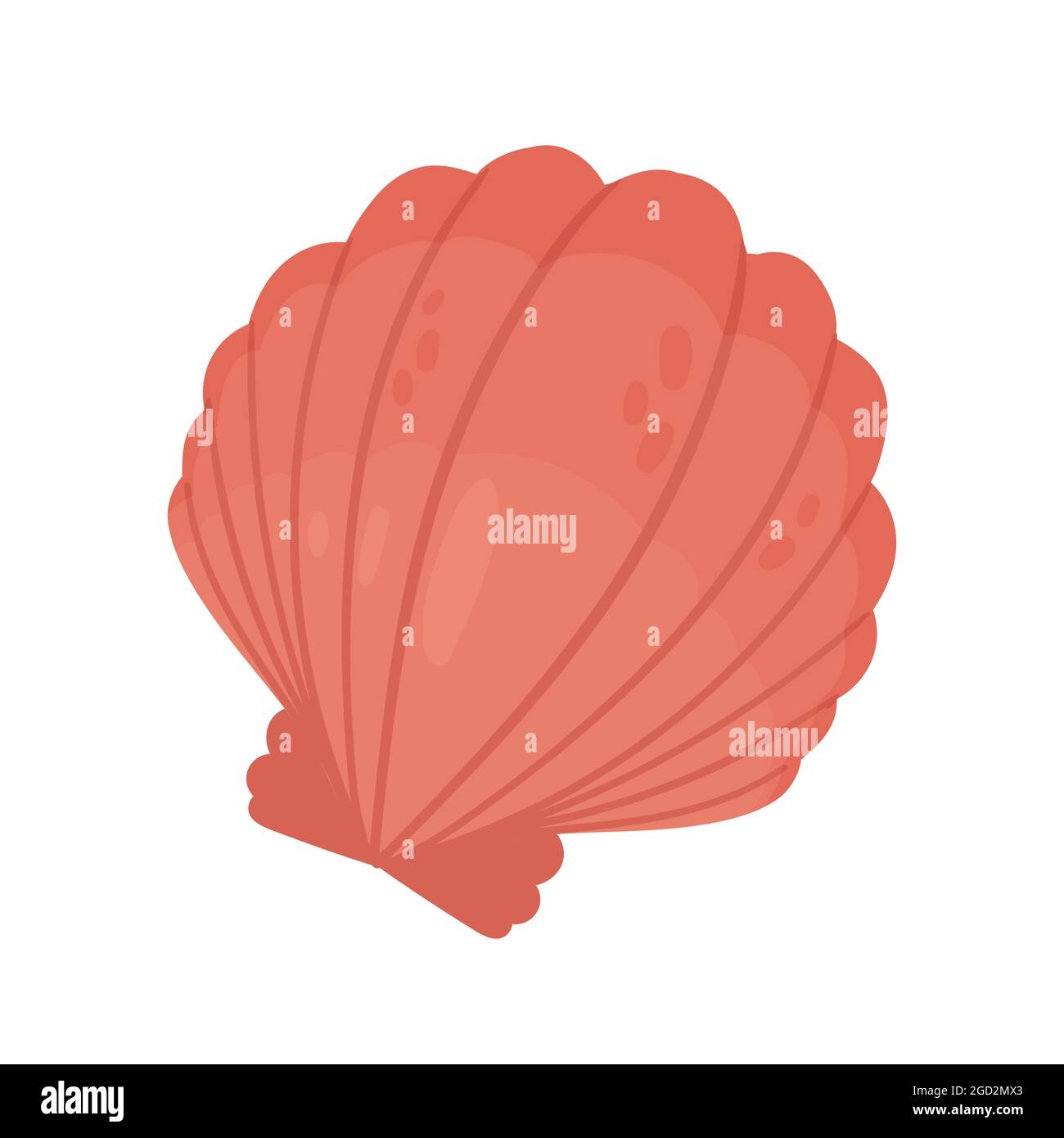Coquillage avec perles, coquillages aquatiques animaux de l'océan illustration du vecteur de la vie marine. Mollusque de dessin animé des eaux tropicales de mer ou aquarium isolé sur blanc Illustration de Vecteur