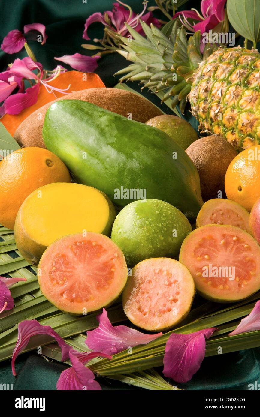 Fruits tropicaux magnifiques, savoureux et nutritifs, dont la sapote mamey, la mangue, l'orange, la papaye, ananas, et sapodilla. ca. 4 septembre 2007 Banque D'Images