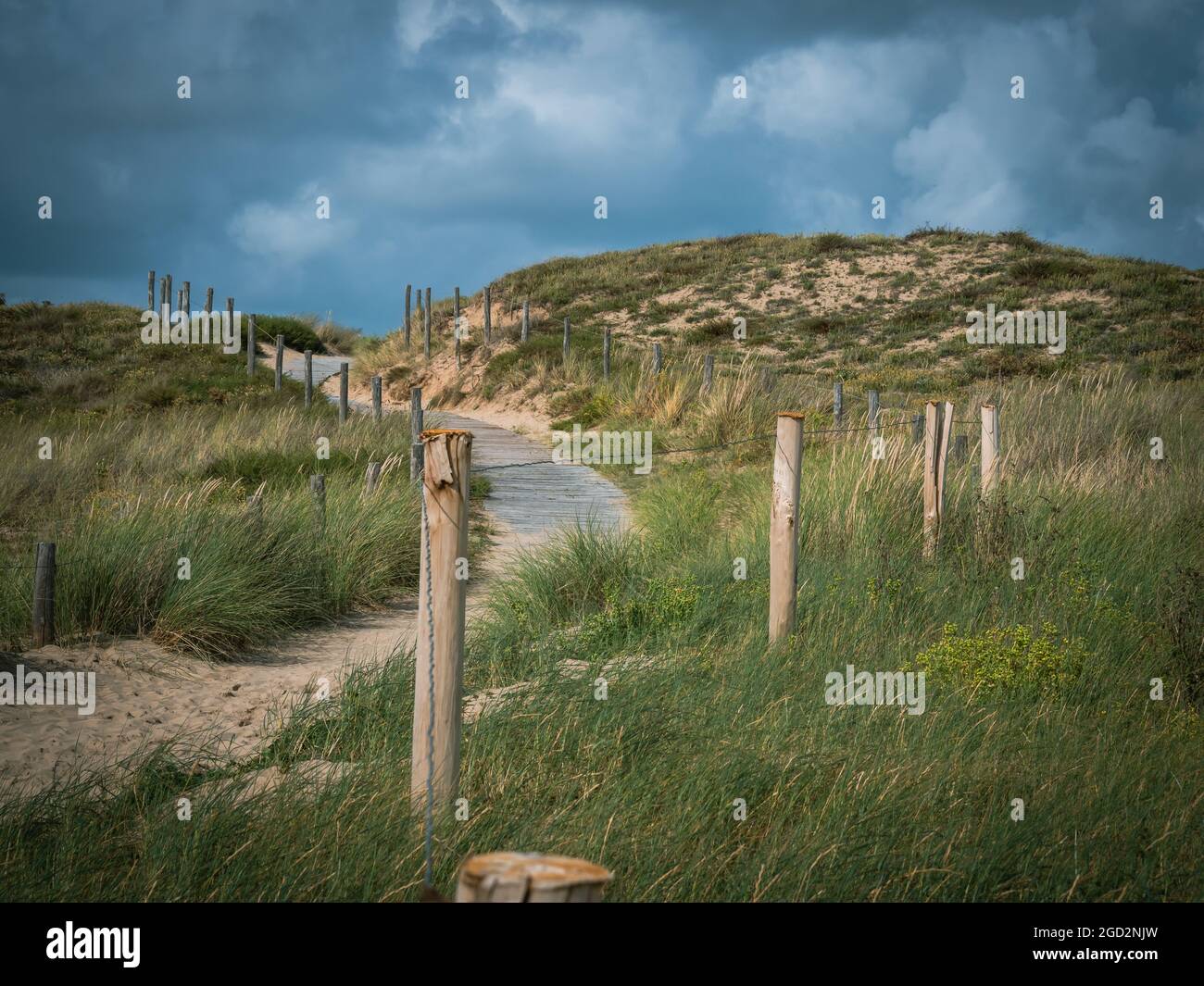 Une route sinueuse en bois menant vers le haut, une belle vue dans le ciel bleu d'arrière-plan et de l'herbe haute mer croissant dans les dunes Banque D'Images