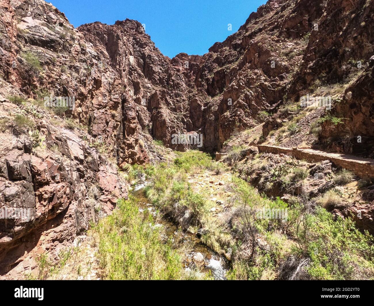 Randonnée dans les gorges intérieures du parc national du Grand Canyon, Arizona, États-Unis Banque D'Images