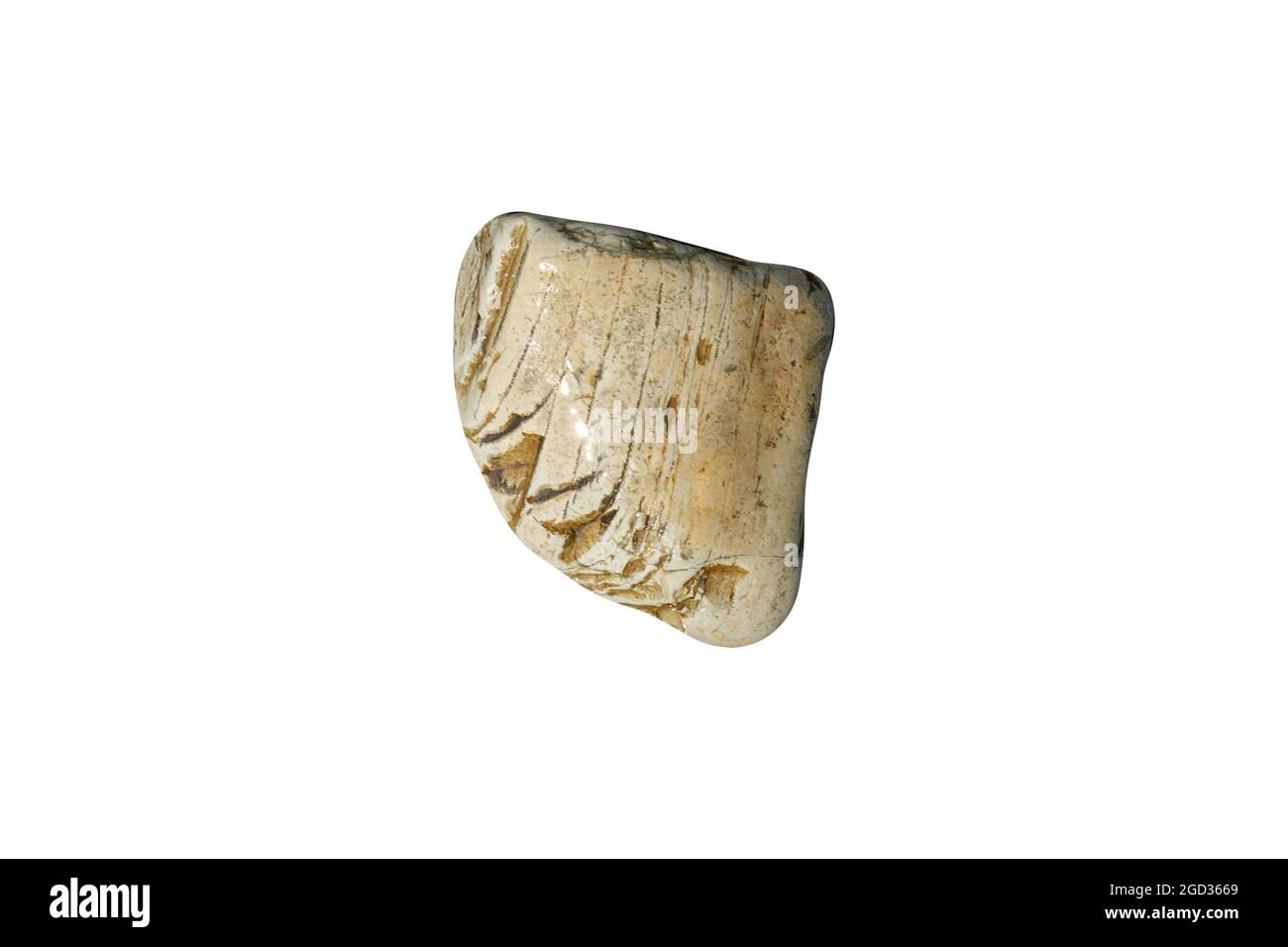 pierre de mer naturelle isolée sur fond blanc. galets pour le design. Photo de haute qualité Banque D'Images