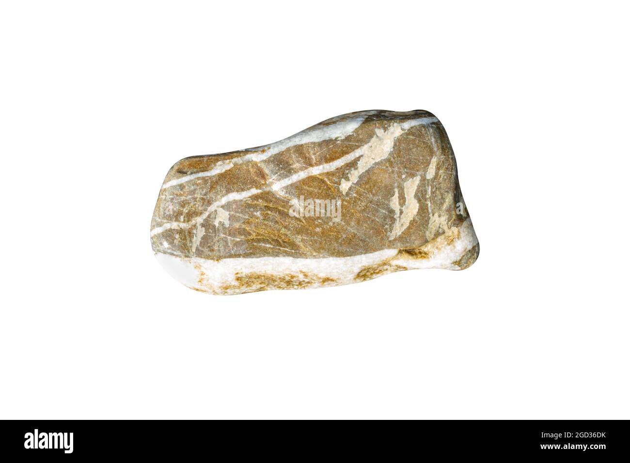 pierre de mer naturelle isolée sur fond blanc. galets pour le design. Photo de haute qualité Banque D'Images