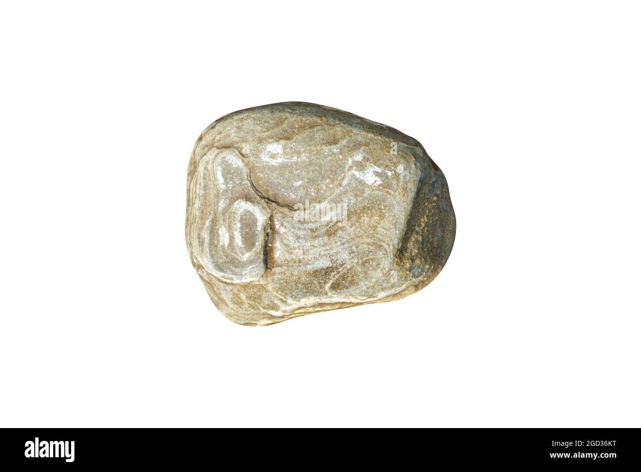 pierre de mer naturelle isolée sur fond blanc. galets pour le design. Photo de haute qualité Banque D'Images