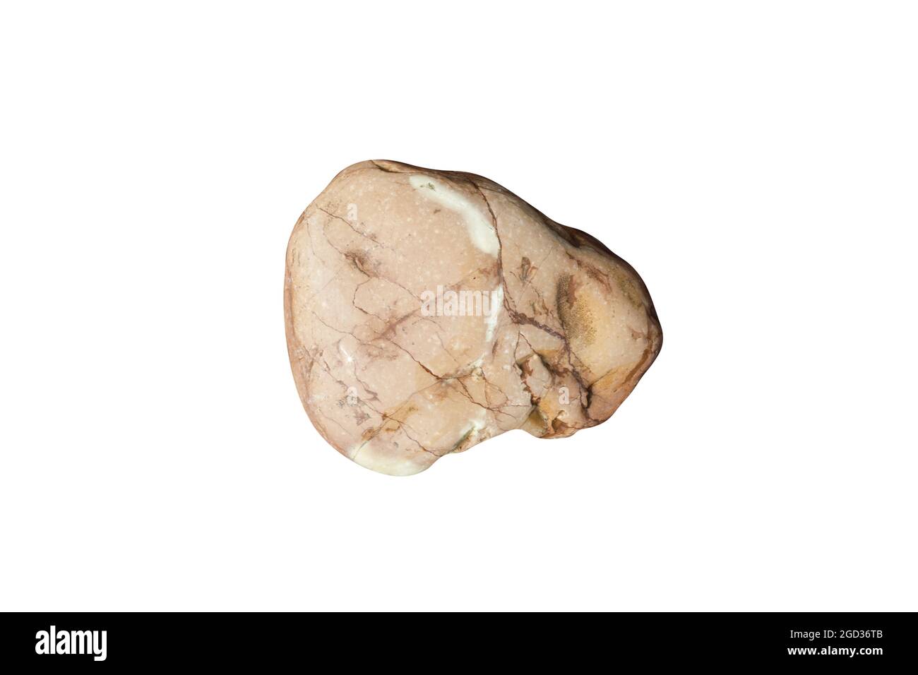 pierre de mer naturelle isolée sur fond blanc. galets pour le design. Photo de haute qualité Banque D'Images