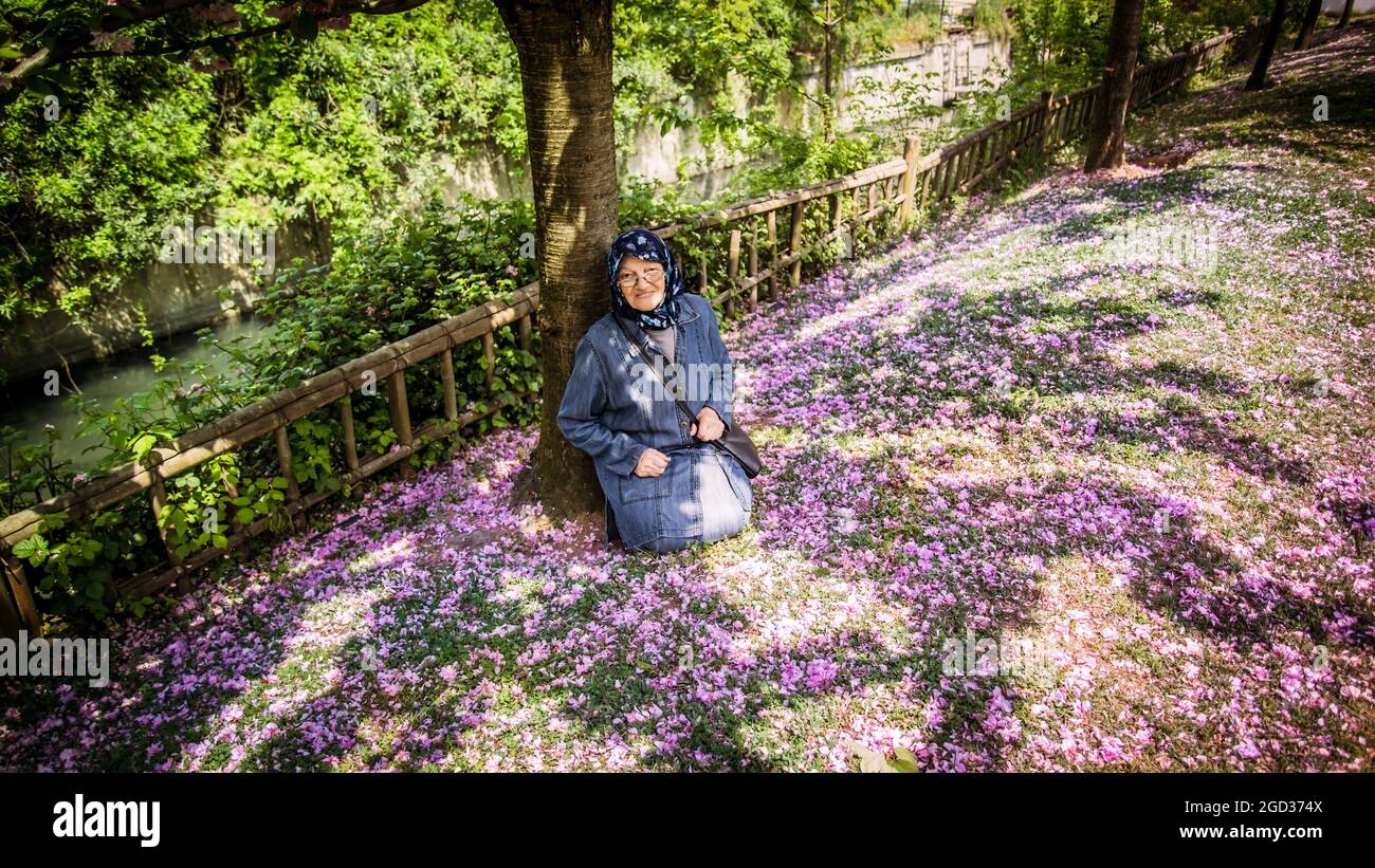 Femme musulmane âgée dans un parc public assis sous un arbre au-dessus d'un lit de fleurs. Elle a l'air heureuse et souriante de regarder l'appareil photo Banque D'Images