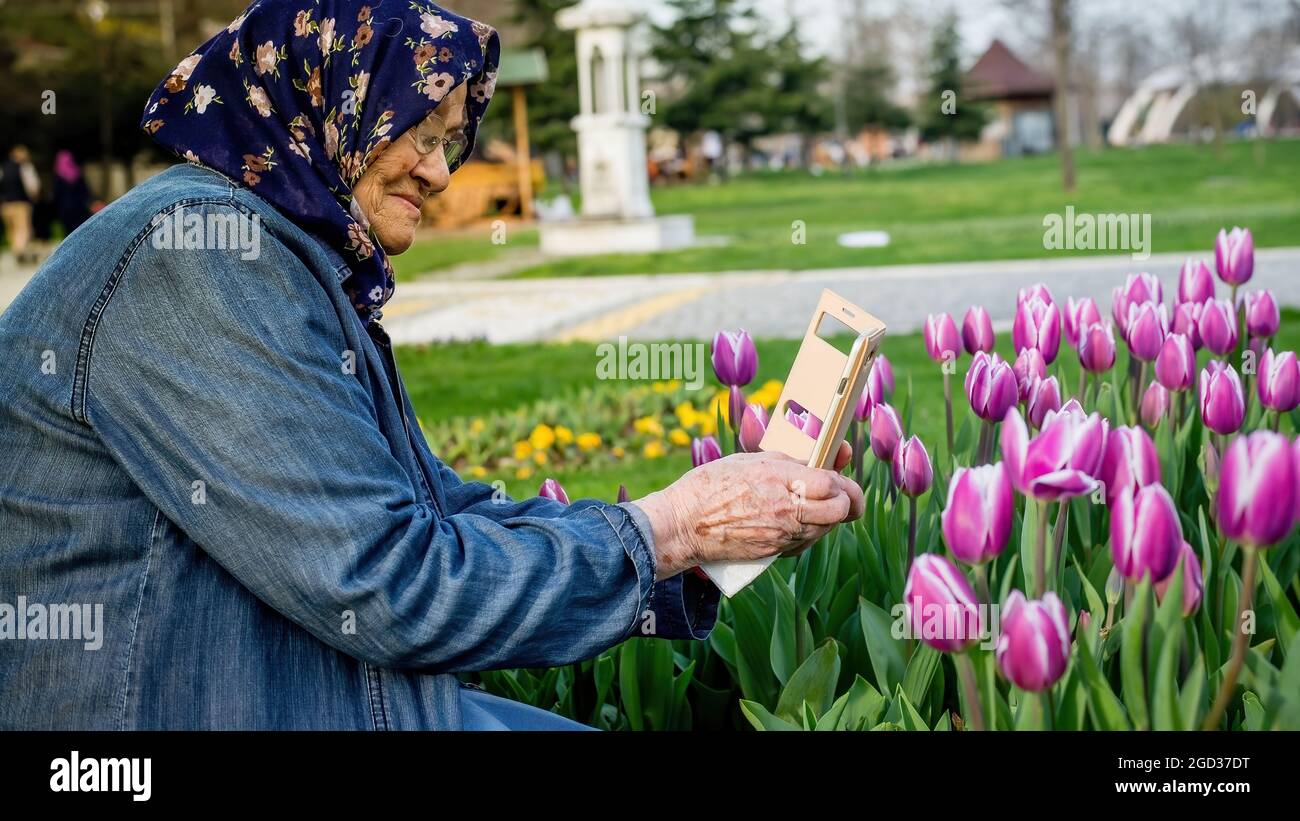 Femme musulmane senior prenant une photo de fleurs avec son smartphone. Vieille femme utilisant le concept de photographie mobile. Banque D'Images