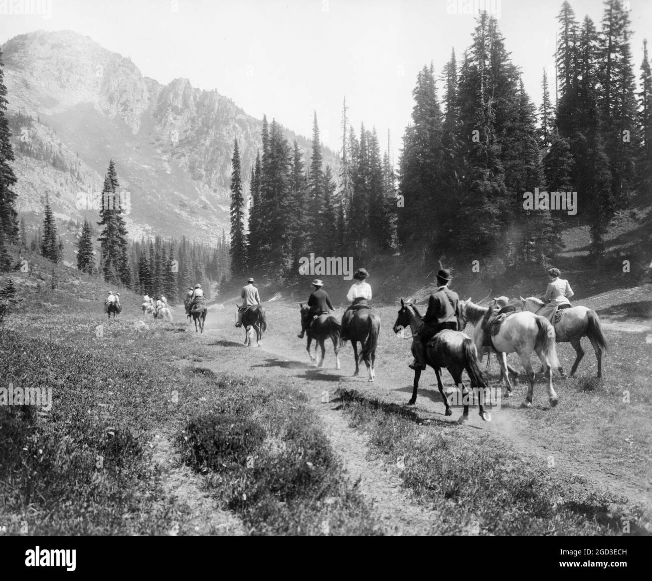 Des cavaliers sur la piste d'Indian Henry's, Mt. Parc national de Rainier, Washington, Californie 1909 Banque D'Images