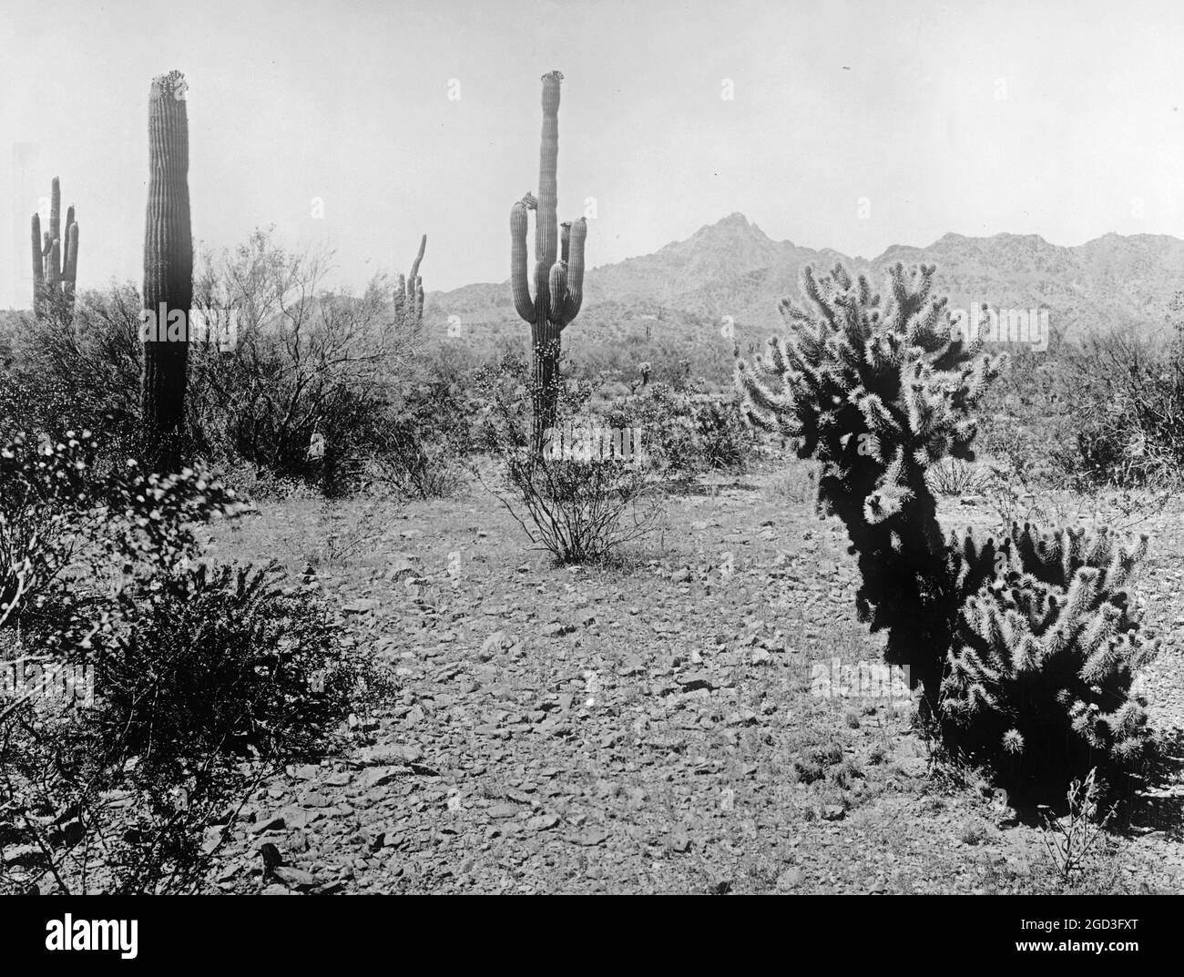 Salt River Project, Phoenix, en Arizona, entre 1910 et 1935 Banque D'Images