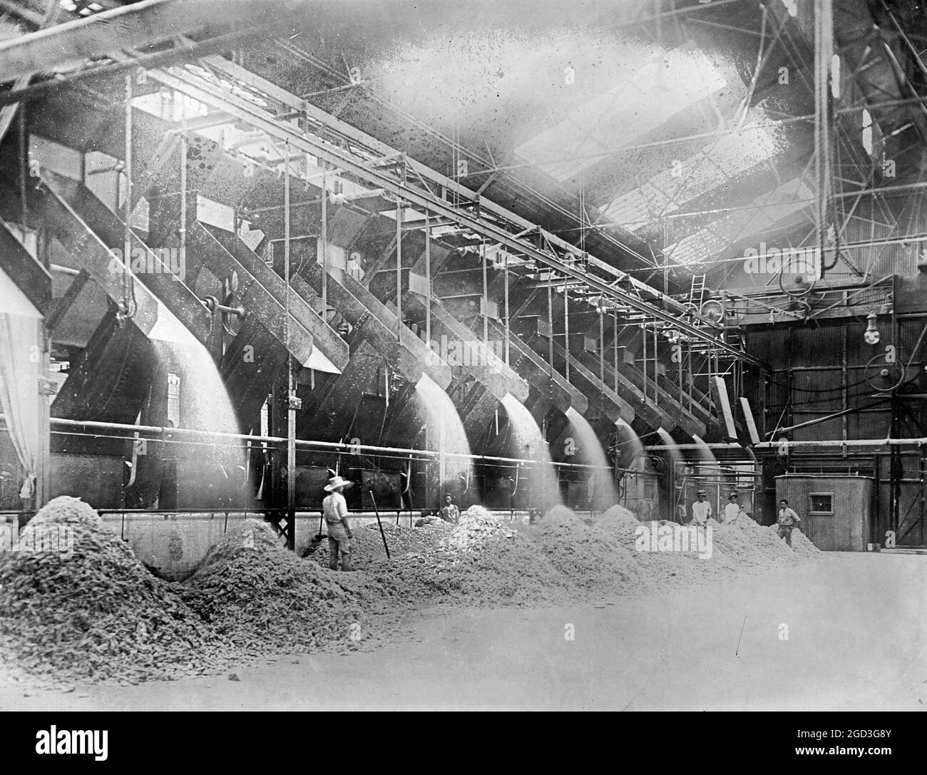 Livraison de Bagasse à la cheminée. Moulin à sucre brut. Îles hawaïennes environ entre 1910 et 1920 Banque D'Images