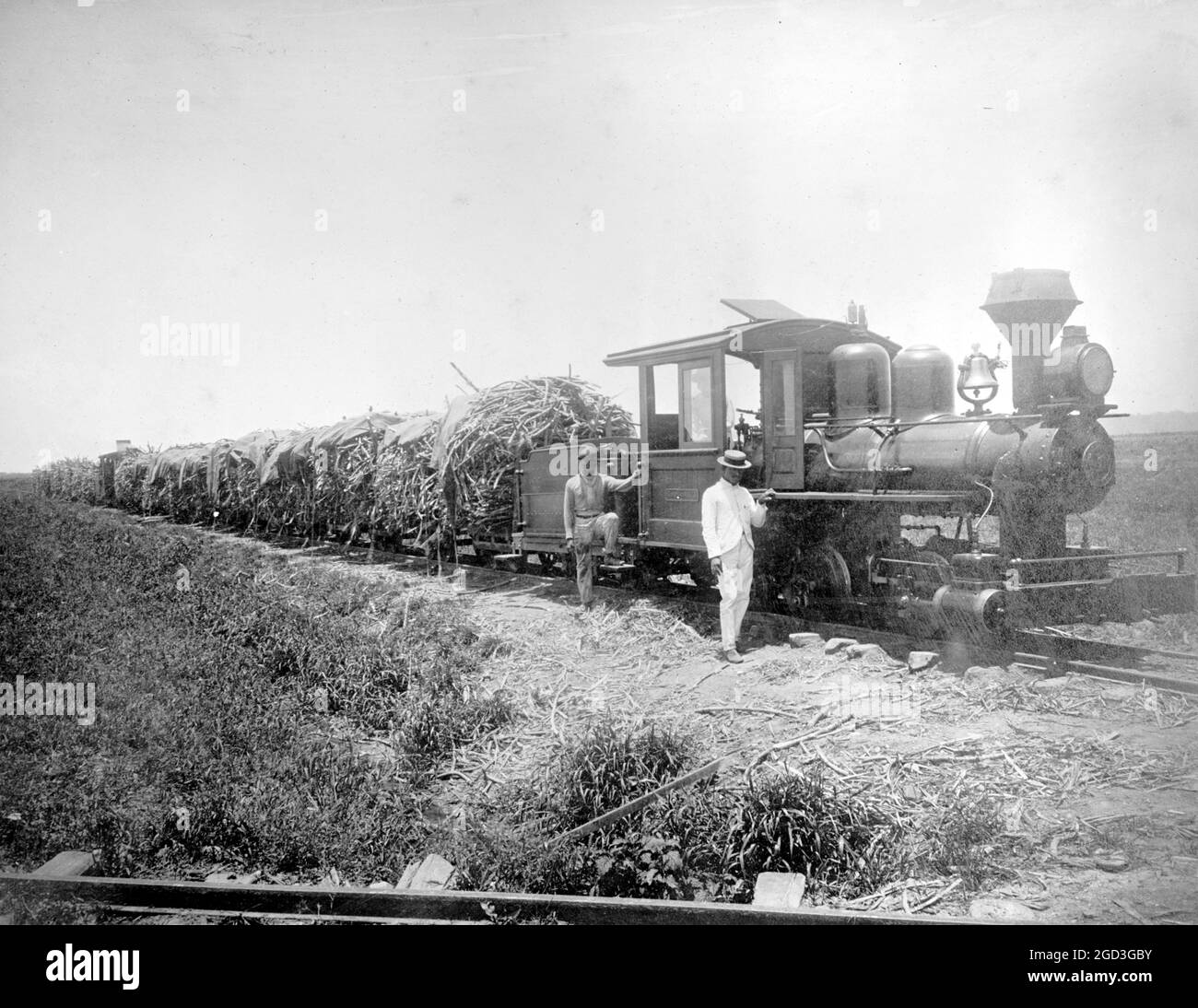 Porto Rico, Antilles, Constancia centrale, Toa-Bajo, P.R. (Train transportant ce qui semble être la canne à sucre) environ entre 1910 et 1920 Banque D'Images