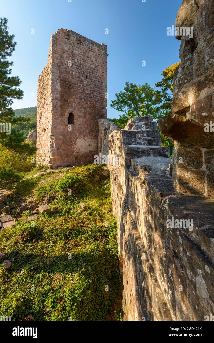 FRANCE, BAS-RHIN (67), HEILIGENSTEIN, CHÂTEAU DE LANDSBERG Banque D'Images