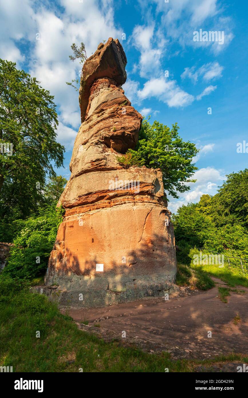 FRANCE, MOSELLE (57), PARC NATUREL RÉGIONAL DES VOSGES DU NORD, PHILIPPSBOURG, CHÂTEAU DE FALKENSTEIN Banque D'Images