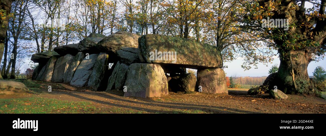 FRANCE, ILLE ET VILAINE (35), ESSE, DOLMEN DE LA ROCHE AUX FEES, SITE MÉGALITHIQUE, PASSERELLE COUVERTE DU TROISIÈME MILLÉNAIRE NÉOLITHIQUE BC., EN BONNE STA Banque D'Images
