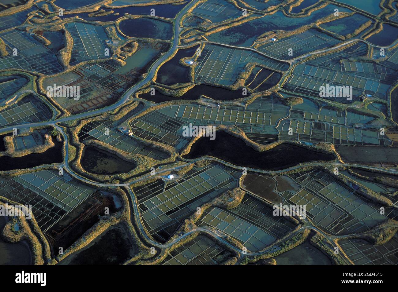 FRANCE, LOIRE ATLANTIQUE(44), GUÉRANDE, VUE AÉRIENNE SUR LES MARAIS SALANTS, BRETAGNE Banque D'Images