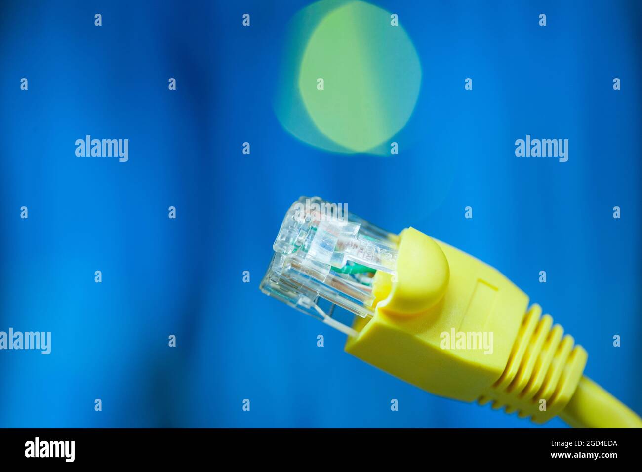 La fiche de connexion réseau Banque D'Images
