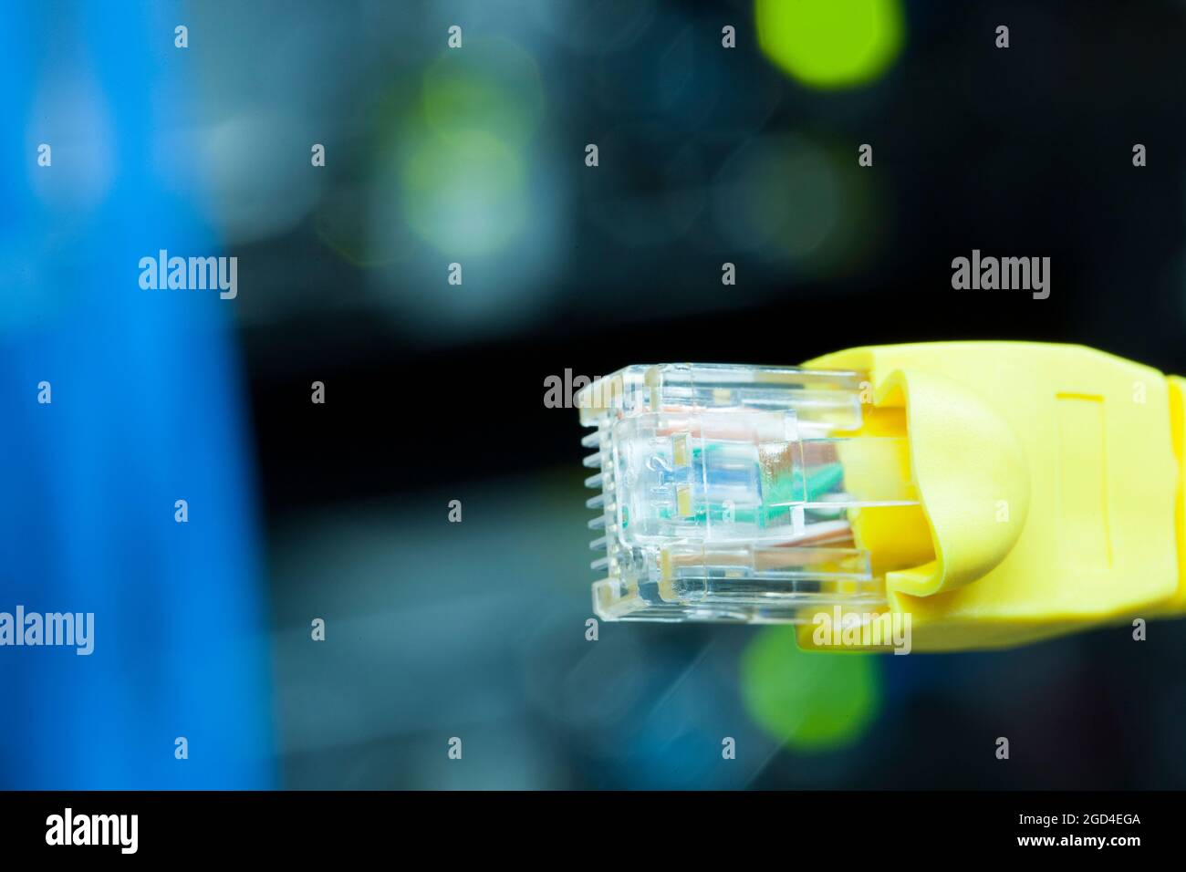 La fiche de connexion réseau Banque D'Images