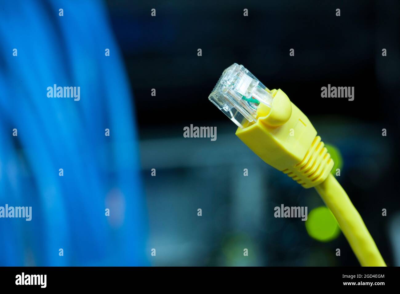 La fiche de connexion réseau Banque D'Images