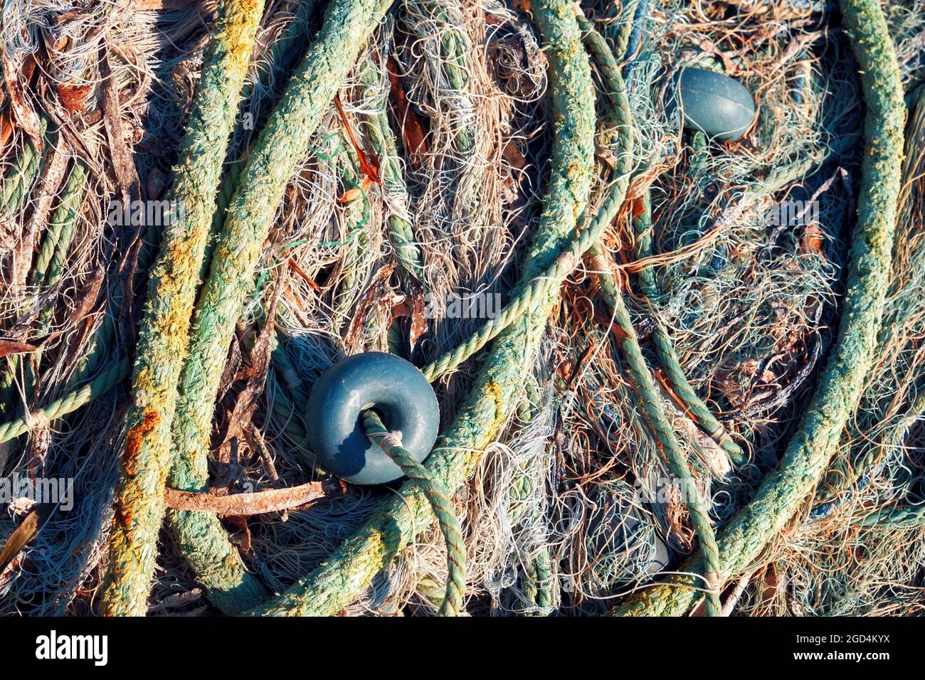 Filet de pêche vert avec bouées et cordes. Banque D'Images